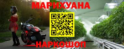 дживик Кунгур