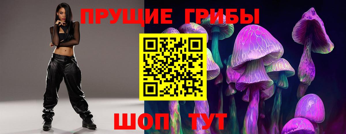 Галлюциногенные грибы GOLDEN TEACHER  Вход с VPN  Галлюциногенные грибы прущие грибы  Карталы 