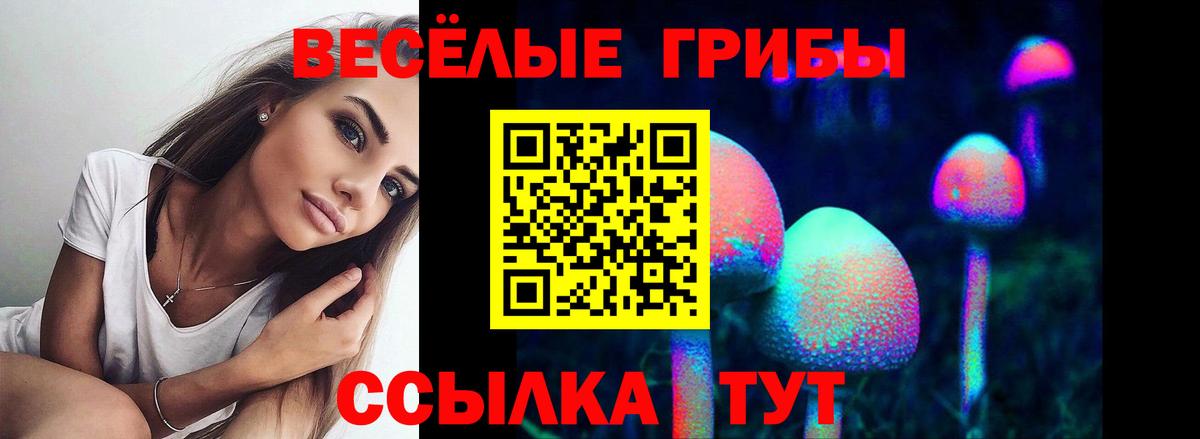 Псилоцибиновые грибы MAGIC MUSHROOMS Карталы